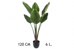 006 veštačke sobne banane